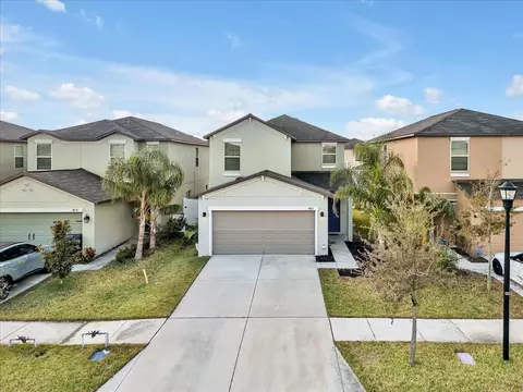 7413 French Marigold Ave, Tampa, FL 33619