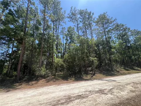 Octavia Lane, Webster, FL 33597