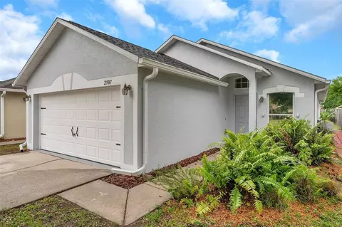 2907 Mingo Dr, Land O Lakes, FL 34639