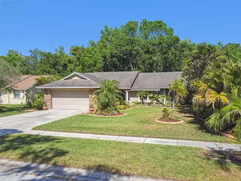 15014 Winterwind Dr, Tampa, FL 33624