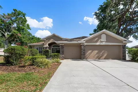 2402 Blue Stone Ct, Valrico, FL 33594