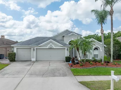 29542 Forest Glen Dr, Wesley Chapel, FL 33543