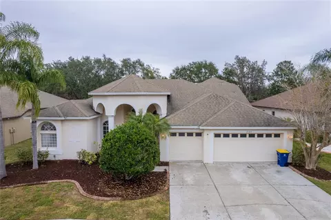 21215 Tyrell Way, Land O Lakes, FL 34638