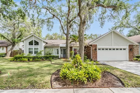 614 Fayette Dr S, Safety Harbor, FL 34695