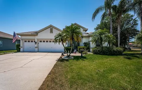 8926 Garner Ct, Trinity, FL 34655
