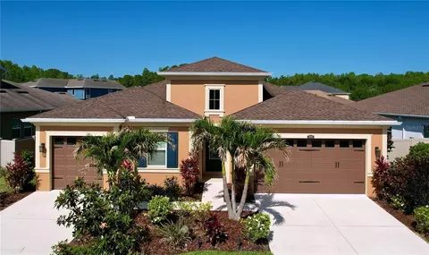 1723 Whitewillow Dr, Wesley Chapel, FL 33543