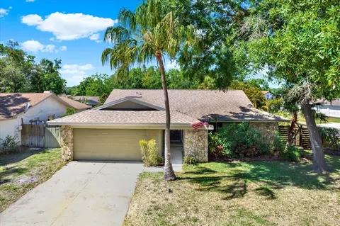 4101 Hollowtrail Dr, Tampa, FL 33624