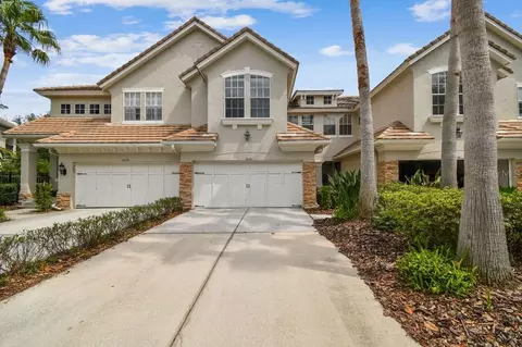 14537 Mirabelle Vista Cir, Tampa, FL 33626