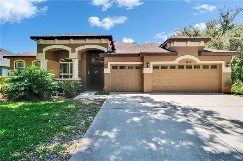 15724 Ibisridge Dr, Lithia, FL 33547