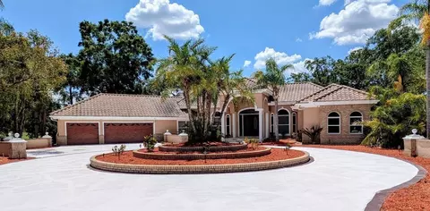 4872 Silverthorne Ct, Oldsmar, FL 34677