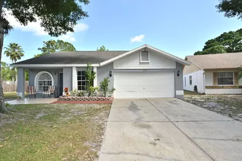 11314 Silverleaf Ct, Riverview, FL 33579 photo 1