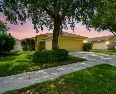 9551 Maxson Dr, Land O Lakes, FL 34638