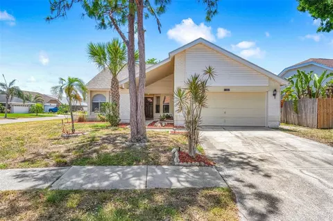 12002 Peony Ct, Tampa, FL 33635