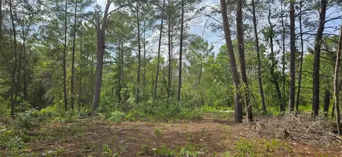 6283 Bowdoin Ave, Keystone Heights, FL 32656