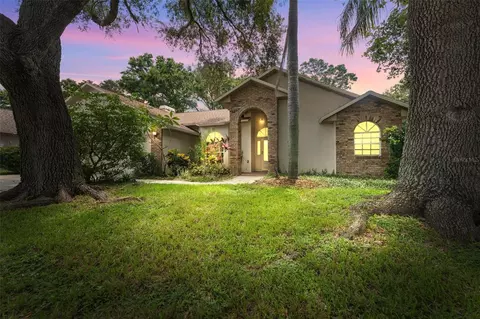 3001 Folklore Dr, Valrico, FL 33596