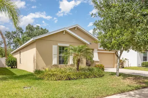 10036 Crested Fringe Dr, Riverview, FL 33578