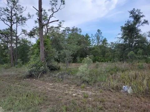 Cedarwood Avenue, Weeki Wachee, FL 34614