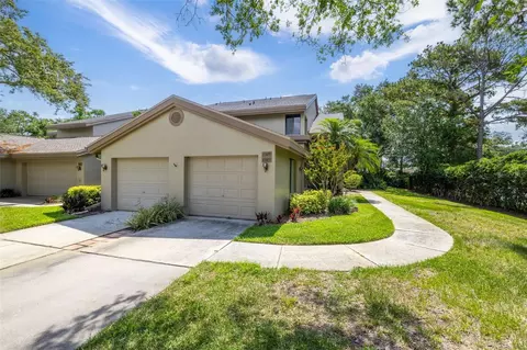 3066 Landmark Blvd #1305, Palm Harbor, FL 34684