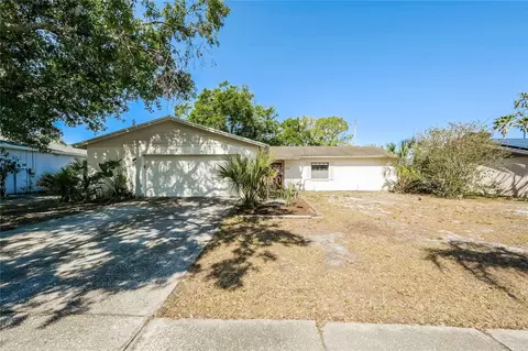 3719 Greenford St, Valrico, FL 33596