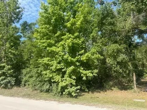 lot S 551-559 Hawthorne St, Zephyrhills, FL 33540