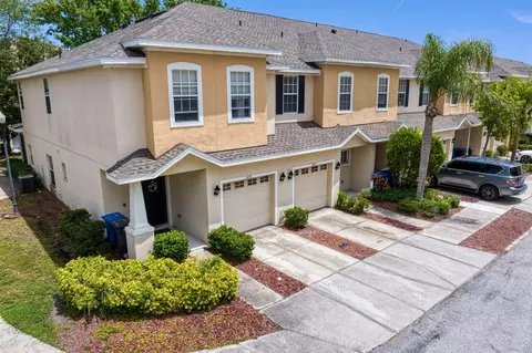 1051 Andrew Aviles Cir, Tampa, FL 33619