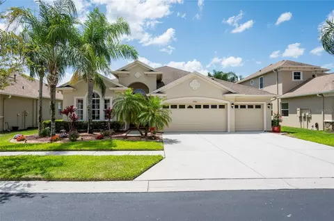 3300 Stonegate Falls Dr, Land O Lakes, FL 34638