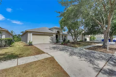 10048 Creek Bluff Dr, Riverview, FL 33578