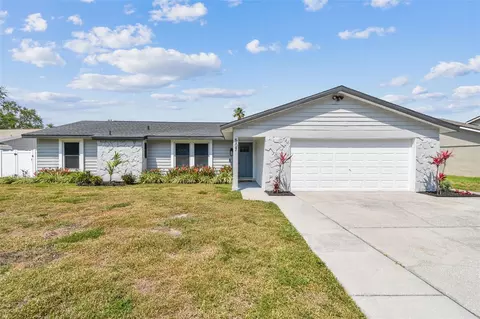 507 Hammock Dr, Palm Harbor, FL 34683
