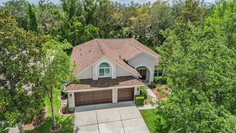 6038 Palomaglade Dr, Lithia, FL 33547
