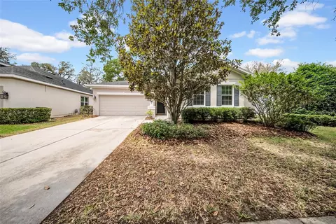 15810 Starling Water Dr, Lithia, FL 33547