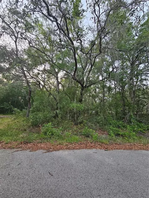 00 Doaks St, New Port Richey, FL 34654