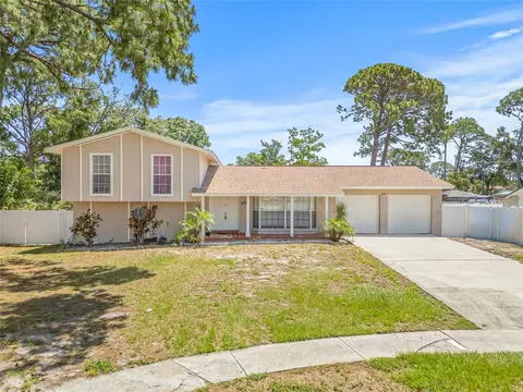 6607 Larimer Dr, Tampa, FL 33615