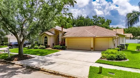 17711 Hampshire Oak Dr, Tampa, FL 33647