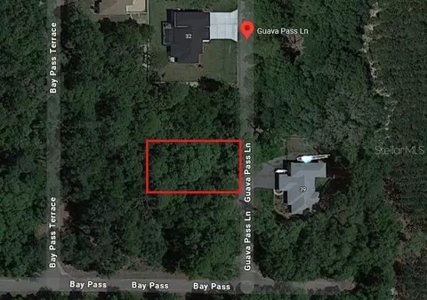 1484928 Guava Pass Ln, Ocklawaha, FL 32179