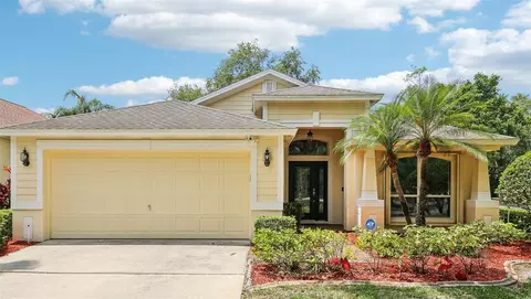 10150 Heather Sound Dr, Tampa, FL 33647