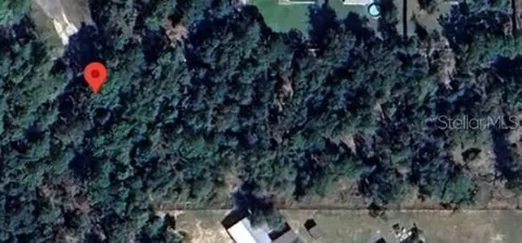 91 SE St Se Court Rd, Summerfield, FL 34491