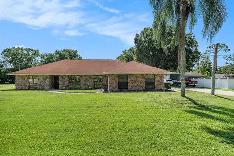 7907 Pat Blvd, Tampa, FL 33615