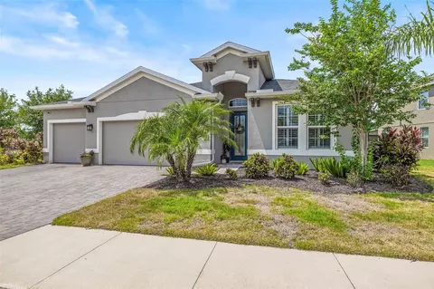 11322 Lake Lucaya Dr, Riverview, FL 33579