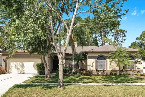9535 Norchester Cir, Tampa, FL 33647