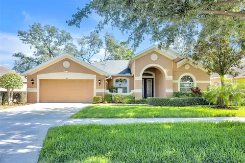 311 Parsons Woods Dr, Seffner, FL 33584