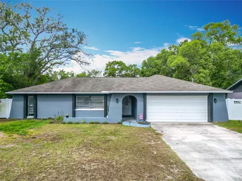 4435 Lamson Ave, Spring Hill, FL 34608 photo 1