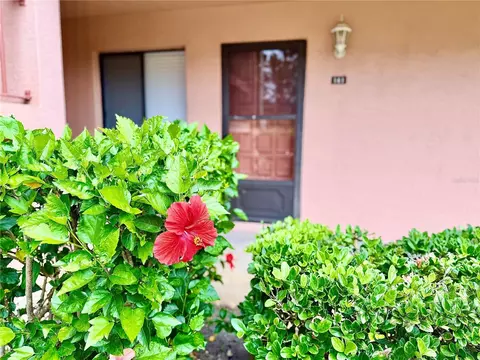 141 Lakeside Dr, Oldsmar, FL 34677