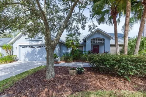 9220 Dayflower Dr, Tampa, FL 33647