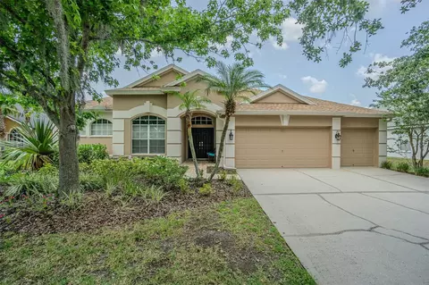 5317 Pagnotta Pl, Lutz, FL 33558