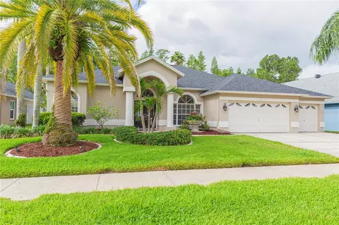 10002 Colonnade Dr, Tampa, FL 33647