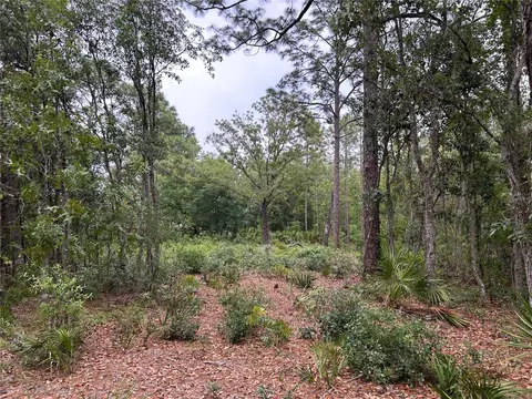 S Slash Pine Avenue, Homosassa, FL 34446