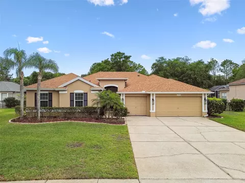 19106 Beckett Dr, Odessa, FL 33556
