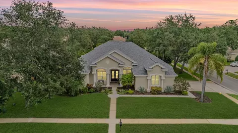 3727 Janus Way, Palm Harbor, FL 34685