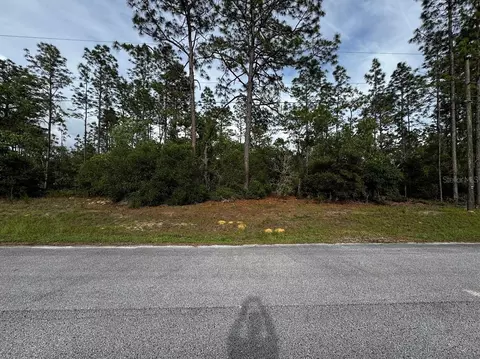 SW 207th Court, Dunnellon, FL 34432