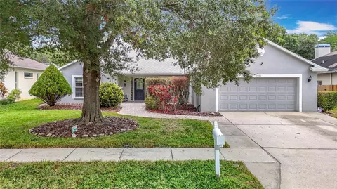 3001 Regal Oaks Blvd, Palm Harbor, FL 34684